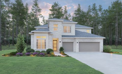 WaterStone by Stonefield Homes in Montgomery - photo 1 1