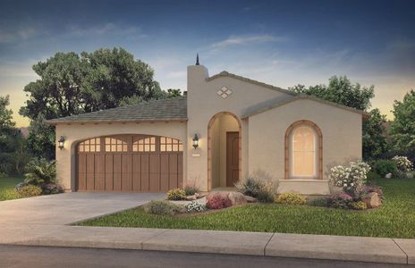 New construction Single-Family house 1035 East Combs Road, Queen Creek, AZ 85140 - photo 0