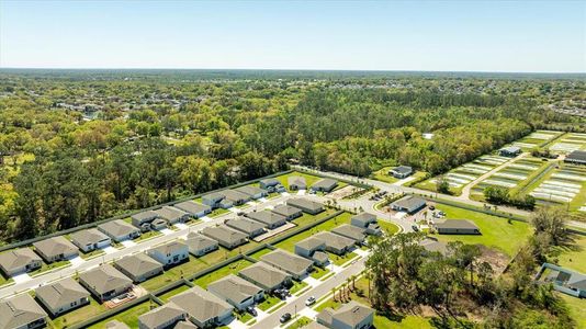 New construction Single-Family house 2047 Rosewood Cir, Lakeland, FL 33810 null- photo 44 44