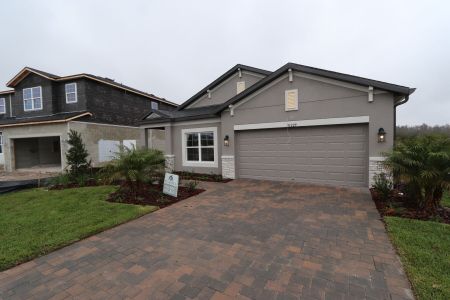 New construction Single-Family house 31229 Denham Ridge Ln, Wesley Chapel, FL 33545 Newport II- photo 96 96