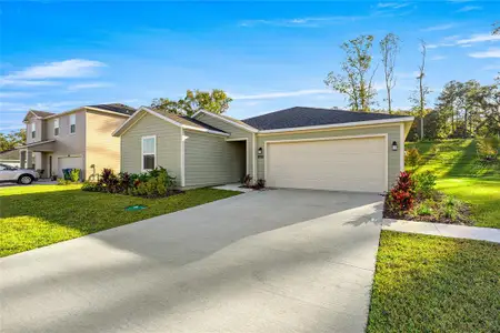New construction Single-Family house 16983 Nw 144Th St, Alachua, FL 32615 plan Celeste - image