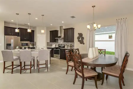 New construction Single-Family house 19689 Fort King Run, Brooksville, FL 34601 - image 17