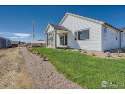 New construction Single-Family house 2494 Cottongrass Ave, Loveland, CO 80538 null- photo 38 38