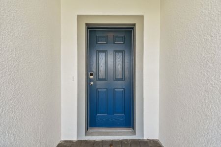 New construction Single-Family house 12193 Hilltop Farms Dr, Dade City, FL 33525 Sentinel- photo 135 135