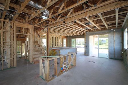 New construction Single-Family house 1787 Drummond Pt, Zephyrhills, FL 33541 Sonoma II- photo 39 39