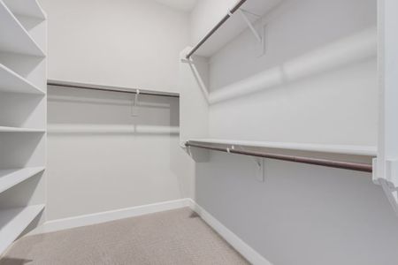 New construction Single-Family house 21025 E Diana Wy, Queen Creek, AZ 85142 plan Dolca - image 17