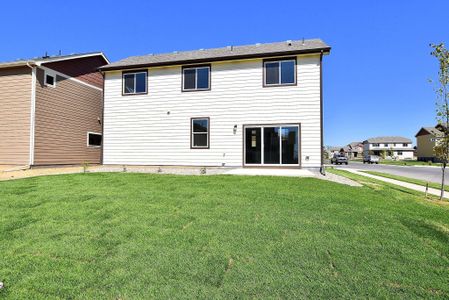 New construction Single-Family house 437 Vivid Ln, Windsor, CO 80550 null- photo 47 47