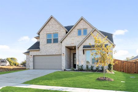New construction Single-Family house 38 Osprey St, Joshua, TX 76058 plan Violet II - image