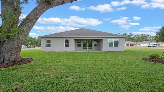 New construction Single-Family house 4235 Acoma Dr, Ormond Beach, FL 32174 plan Madison - image