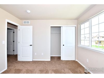 New construction Single-Family house 430 Aurelia Dr, Windsor, CO 80550 null- photo 30 30