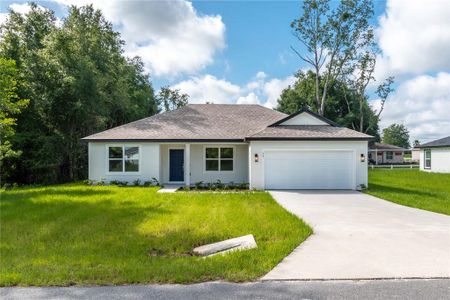 New construction Single-Family house 14 Guava Terrace Trak, Ocklawaha, FL 32179 null- photo 0