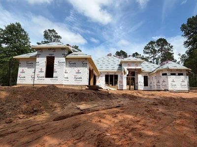 New construction Single-Family house 13117 Royal Hill Ct, Montgomery, TX 77316 - image