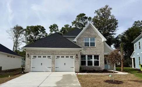 New construction Single-Family house 167 Lilaput Cir, Wilmington, NC 28411 plan Jensen - image