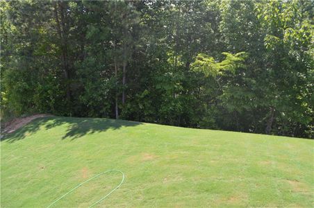 New construction Single-Family house 392 Brookstone Trail, Dawsonville, GA 30534 - photo 122 122