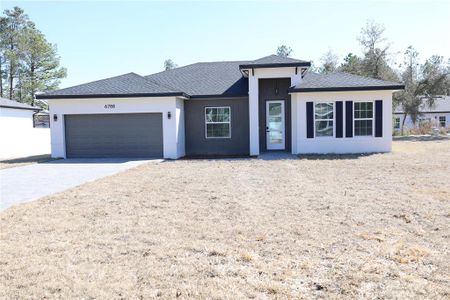 New construction Single-Family house 6788 Sw 149Th Lane Rd, Ocala, FL 34473 - image