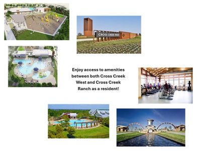 New construction Single-Family house 31202 Anna Meadows Dr, Fulshear, TX 77441 plan Roosevelt - image 15