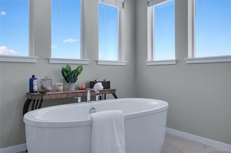 New construction Single-Family house 9755 Owl Perch Lp, Colorado Springs, CO 80908 - image 7