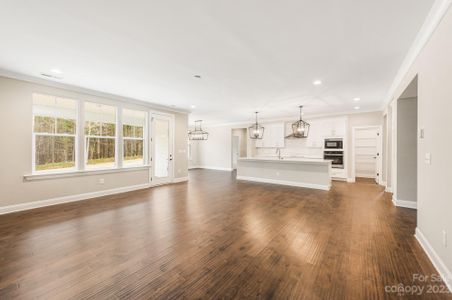 New construction Single-Family house 4024 Red Hill Way, Denver, NC 28037 null- photo 18 18