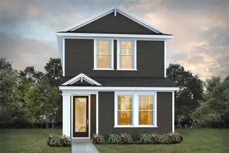 New construction Single-Family house 2043 Wild Heron Ct, Valrico, FL 33596 Emerson- photo 0