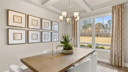New construction Single-Family house 1904 Endress Cir, Hampton, GA 30228 plan Savannah - image