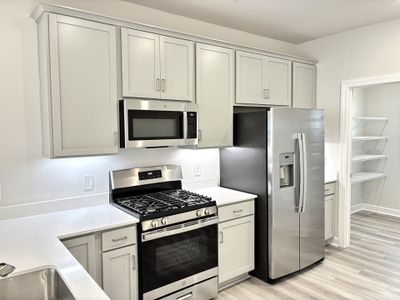 New construction Single-Family house 247 Taylor Woods Ct, Greenville, SC 29607 plan The Princeton A - image 7