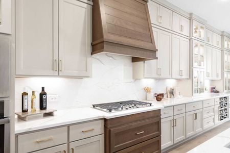 New construction Single-Family house 2036 Grey Birch Pl, Aledo, TX 76008 plan 222 - image 11