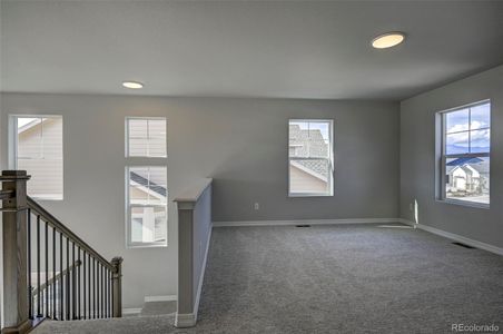 New construction Single-Family house 10137 Waterton Canyon Wy, Colorado Springs, CO 80924 - image 10