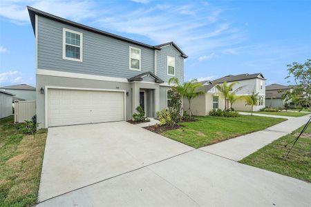 New construction Single-Family house 8887 Little Bluestem Dr, Land O' Lakes, FL 34637 null- photo 37 37