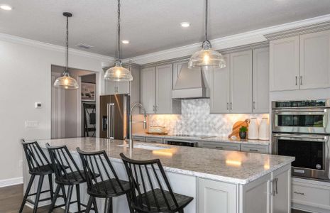 Vida's Way by Pulte Homes in Zephyrhills - photo 36 36