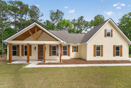 New construction Single-Family house 1019 Sago Ct, Johns Island, SC 29455 - image