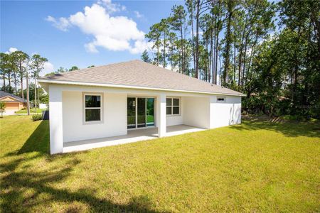 New construction Single-Family house 130 Ryberry Dr, Palm Coast, FL 32164 plan The Naples - image