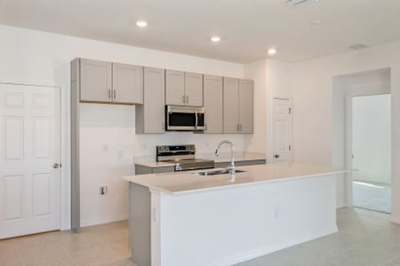 New construction Single-Family house 9008 Wildlight Trl, Wildwood, FL 34785 plan Delight - image 8