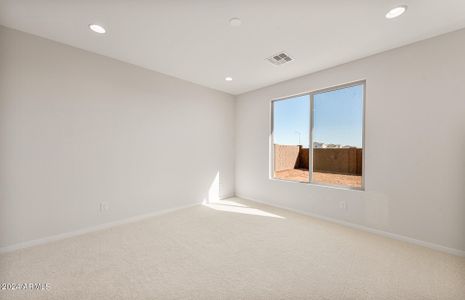 New construction Single-Family house 1269 W Treasure Trl, Apache Junction, AZ 85120 Rimini- photo 15 15