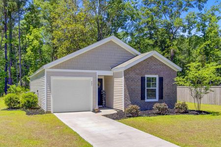 New construction Single-Family house 407 Spruce Ivy St, Moncks Corner, SC 29461 - image