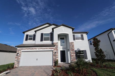 New construction Single-Family house 12176 Hilltop Farms Dr, Dade City, FL 33525 Malibu- photo 168 168