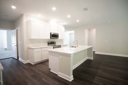 Elegant Manor Estates by Maronda Homes in Edgewater - photo 21 21