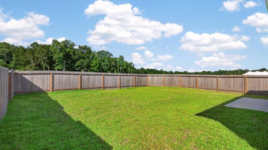 New construction Single-Family house 13579 Bay Springs Dr, Conroe, TX 77303 plan RC Cooper - image 4
