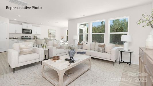 New construction Single-Family house 1036 Horizon Ln, Chester, SC 29706 plan Darwin - image 7