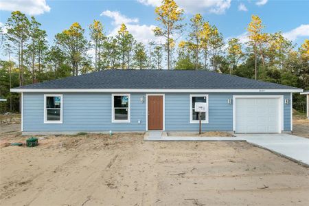 New construction Single-Family house 15397 Sw 29 Street, Ocala, FL 34481 Aleida- photo 0