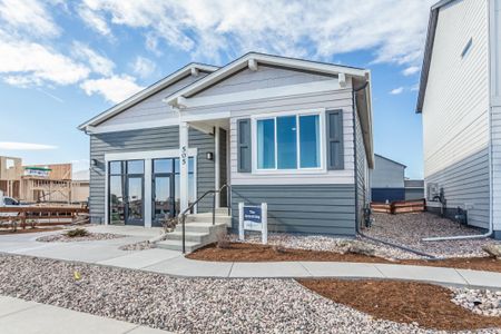 New construction Single-Family house 505 N Aria Wy, Fort Collins, CO 80524 plan Armstrong - image