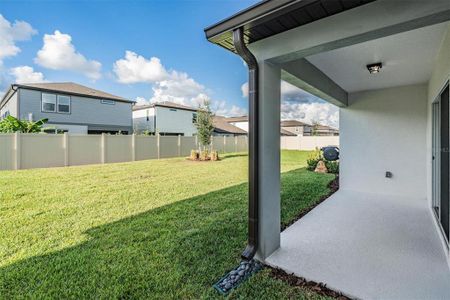 New construction Single-Family house 3549 Ivy Springs Ln, Land O' Lakes, FL 34638 - image