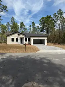 New construction Single-Family house 6991 Sw 151St Lp, Ocala, FL 34473 - image