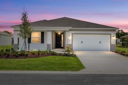New construction Single-Family house 10355 Sw 105Th Ter, Ocala, FL 34481 - image