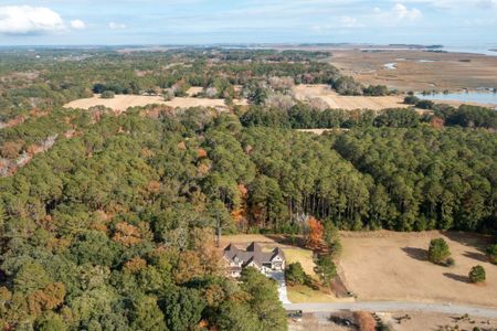 New construction Single-Family house 3820 Gnarled Oaks Ln, Johns Island, SC 29455 null- photo 62 62