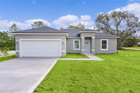 New construction Single-Family house 75 Malauka Pass, Ocklawaha, FL 32179 - photo 0