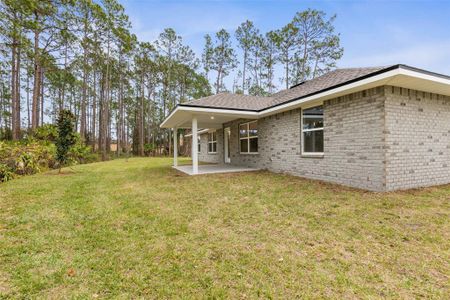 New construction Single-Family house 14 Squanto Pl, Palm Coast, FL 32164 null- photo 25 25