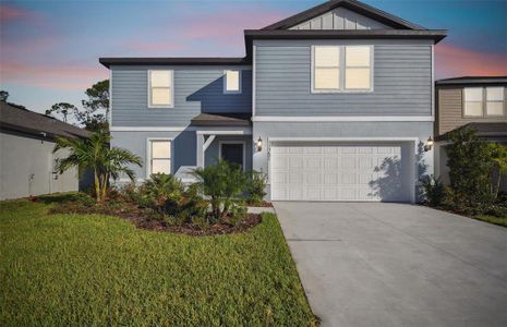 New construction Single-Family house 11751 Moonsail Dr, Parrish, FL 34219 Wakefield- photo 25 25