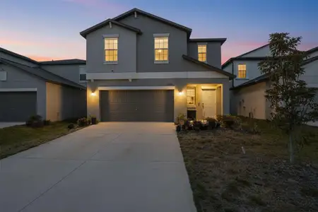 New construction Single-Family house 13712 Newbridge St, Spring Hill, FL 34609 - image