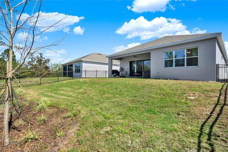 New construction Single-Family house 2304 Seagrass Pt, Kissimmee, FL 34747 Tobago- photo 50 50