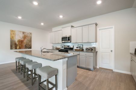 Mission del Lago: Coastline Collection by Lennar in San Antonio - photo 25 25